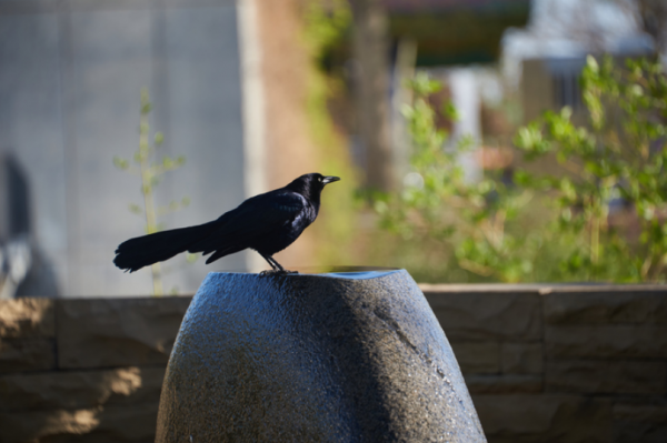 Photography for Influencer Marketing - Image 7